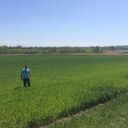 ���������� ���������, ���� ������� ������, 37 ���, ������������ ��� ������, ����� � ���������