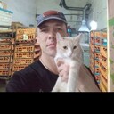 ���������� ���������, ���� ������� ������, 43 ����, ������������ ��� c�������� ���������