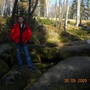 ���������� ������������, ���� ������� �������, 38 ���, ������������ 