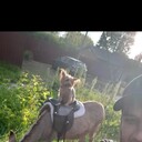 ���������� ������, ���� ������� Ibragim, 37 ���, ������������ ��� ������, ����� � ���������, ���������