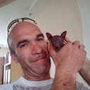 ���������� ���������, ���� ������� ����, 54 ����, ������������ ��� ������, ����� � ���������, c�������� ���������