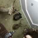 ���������� ������������, ���� ������� ������, 26 ���, ������������ ��� ������, ����� � ���������, c�������� ���������