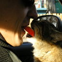 ���������� ����, ���� ������� ����, 51 ���, ������������ ��� ������