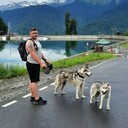 ���������� ������, ���� ������� ����, 37 ���, ������������ ��� ������, ����� � ���������