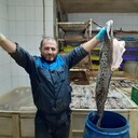 ���������� �����������, ���� ������� ��������, 48 ���, ������������ ��� ������, ����� � ���������, c�������� ���������