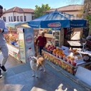 ���������� ������, ���� ������� ������, 39 ���, ������������ ��� ����� � ���������, c�������� ���������