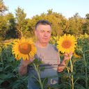 ���������� ������, ���� ������� ���������, 63 ����, ������������ ��� c�������� ���������