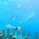  Phuket,   , 40 ,   ,   , c 
