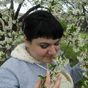  ,   , 40 ,     , c 