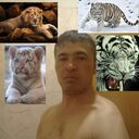 ���������� ���������, ���� ������� �����, 37 ���, ������������ ��� ������, ����� � ���������, c�������� ���������