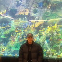  ,   Gut zu uns, 50 ,  