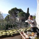 ���������� �����-���������, ���� ������� �������, 36 ���, ������������ ��� ������, ����� � ���������, c�������� ���������, ���������