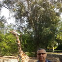  ,   Ilie, 71 ,   ,   