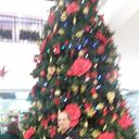  ,   Maxwel, 54 ,  