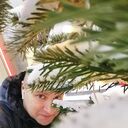  ,   Diman, 38 ,   ,   