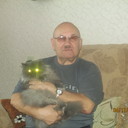  ,   , 80 ,     , c 
