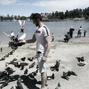 ���������� ����, ���� ������� ����, 28 ���, ������������ ��� ������, ����� � ���������