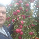 ���������� �������, ���� ������� ALEX, 42 ����, ������������ ��� ������, ����� � ���������, c�������� ���������