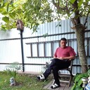 ,   , 55 ,   ,   , c 