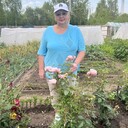 ���������� ������, ���� ������� ���������, 65 ���, ������������ ��� ������, ����� � ���������