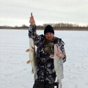 ���������� ����, ���� ������� �����, 53 ����, ������������ ��� c�������� ���������