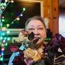 ���������� ������, ���� ������� �����, 73 ����, ������������ ��� ������, ����� � ���������, c�������� ���������, ���������