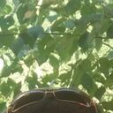  ,   , 49 ,   ,   , c 