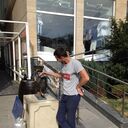 ���������� ����, ���� ������� ����, 37 ���, ������������ ��� ������, ����� � ���������, c�������� ���������, ���������