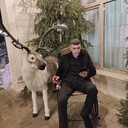 ���������� ������, ���� ������� ���, 38 ���, ������������ ��� ������, ����� � ���������