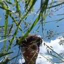 ���������� ������, ���� ������� ��������, 21 ���, ������������ ��� ������, ����� � ���������