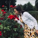 ���������� �����-���������, ���� ������� ������, 26 ���, ������������ ��� ������, c�������� ���������