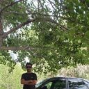 ���������� ������, ���� ������� ������, 53 ����, ������������ ��� ����� � ���������, c�������� ���������