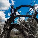 ���������� ���������, ���� ����� �������, 25 ���, ������������ ��� ���������