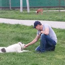 ���������� �������, ���� ������� ������, 34 ����, ������������ ��� ������, ����� � ���������, c�������� ���������