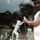 ���������� �����������, ���� ������� �������, 47 ���, ������������ ��� ������, ����� � ���������, c�������� ���������