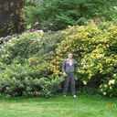 ���������� ������, ���� ������� ����, 43 ����, ������������ 