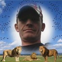 ���������� ������, ���� ������� �������, 48 ���, ������������ ��� ������, ����� � ���������, c�������� ���������