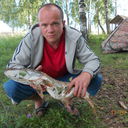  ,   , 44 ,   