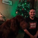 ���������� ���������, ���� ������� ���� �, 41 ���, ������������ ��� ������, ����� � ���������, c�������� ���������