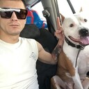 ���������� �����, ���� ������� �����, 31 ���, ������������ ��� ������, ����� � ���������