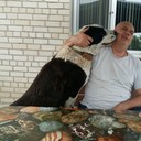 ���������� �������, ���� ������� �����, 58 ���, ������������ ��� ������