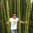 ���������� ������, ���� ������� ������, 38 ���, ������������ ��� ������, ����� � ���������, c�������� ���������