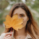  ,   , 26 ,     , c , 