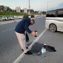 ���������� ���������, ���� ������� ����, 38 ���, ������������ ��� ������, ����� � ���������