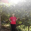  --,   , 60 ,   ,   