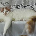  ,   Evgenii, 48 ,   ,   , c 