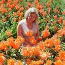  ,   , 56 ,     , c , 