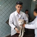 ���������� �������, ���� ������� Ismoil, 28 ���, ������������ ��� ������, ����� � ���������, c�������� ���������, ���������