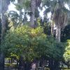  Altea,   Vladimir, 45 ,   , 
