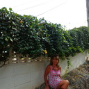 ���������� ������, ���� ������� ����, 60 ���, ������������ ��� ����� � ���������, c�������� ���������